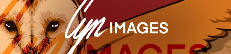 CynImages's button background
