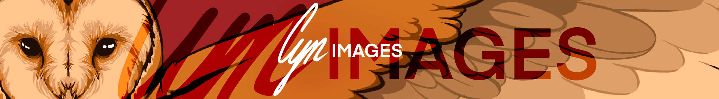 Cyn Images Banner