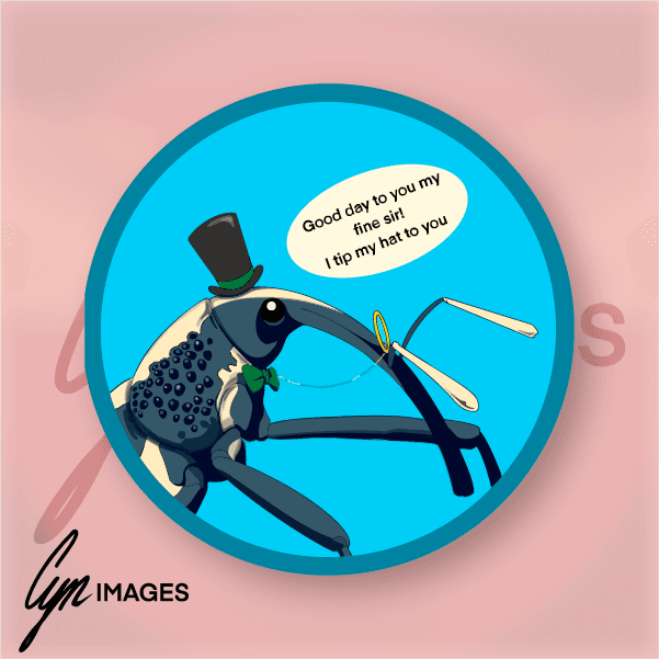 I Tip My Hat To You primary image.