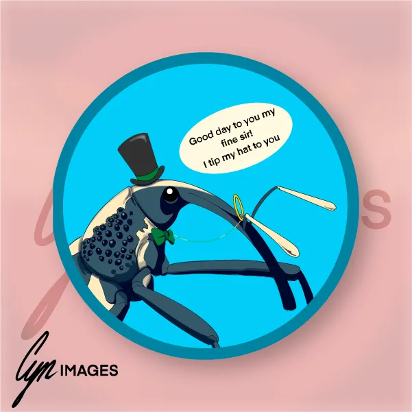 I Tip My Hat To You primary image.