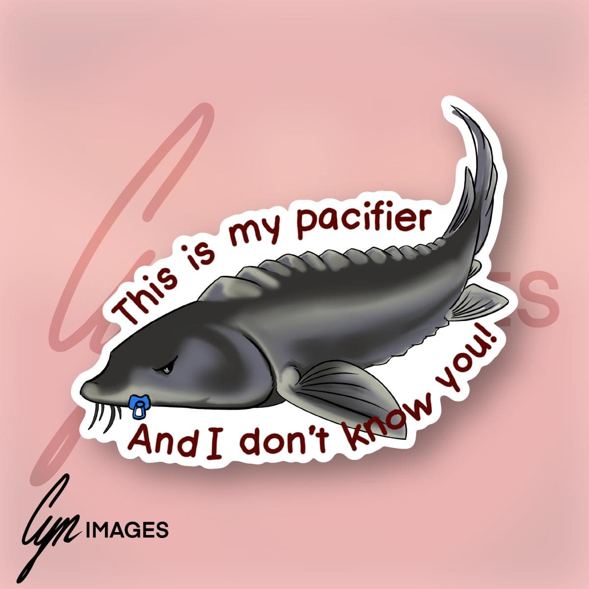 This Is My Pacifier primary image.