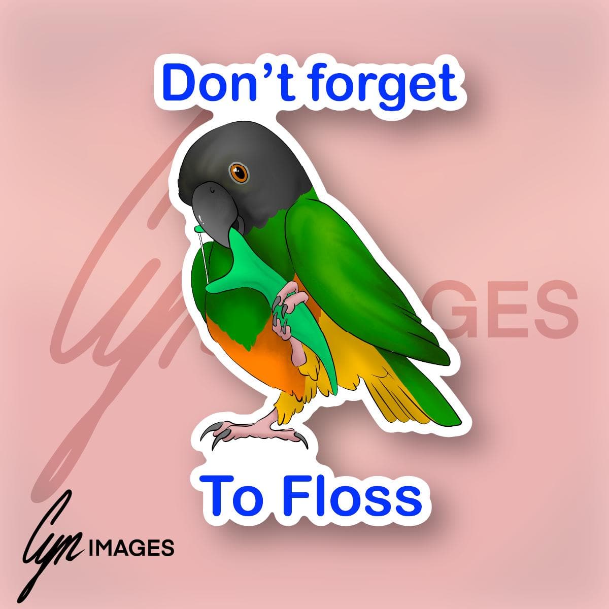 Don't Forget To Floss primary image.