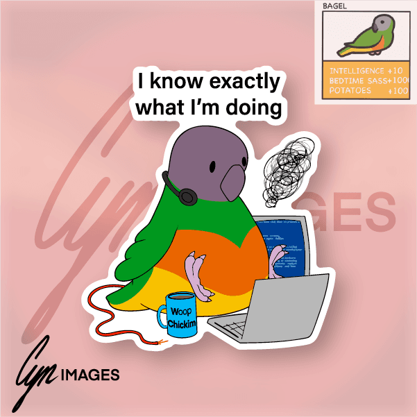 I Know Exactly What I'm Doing primary image.