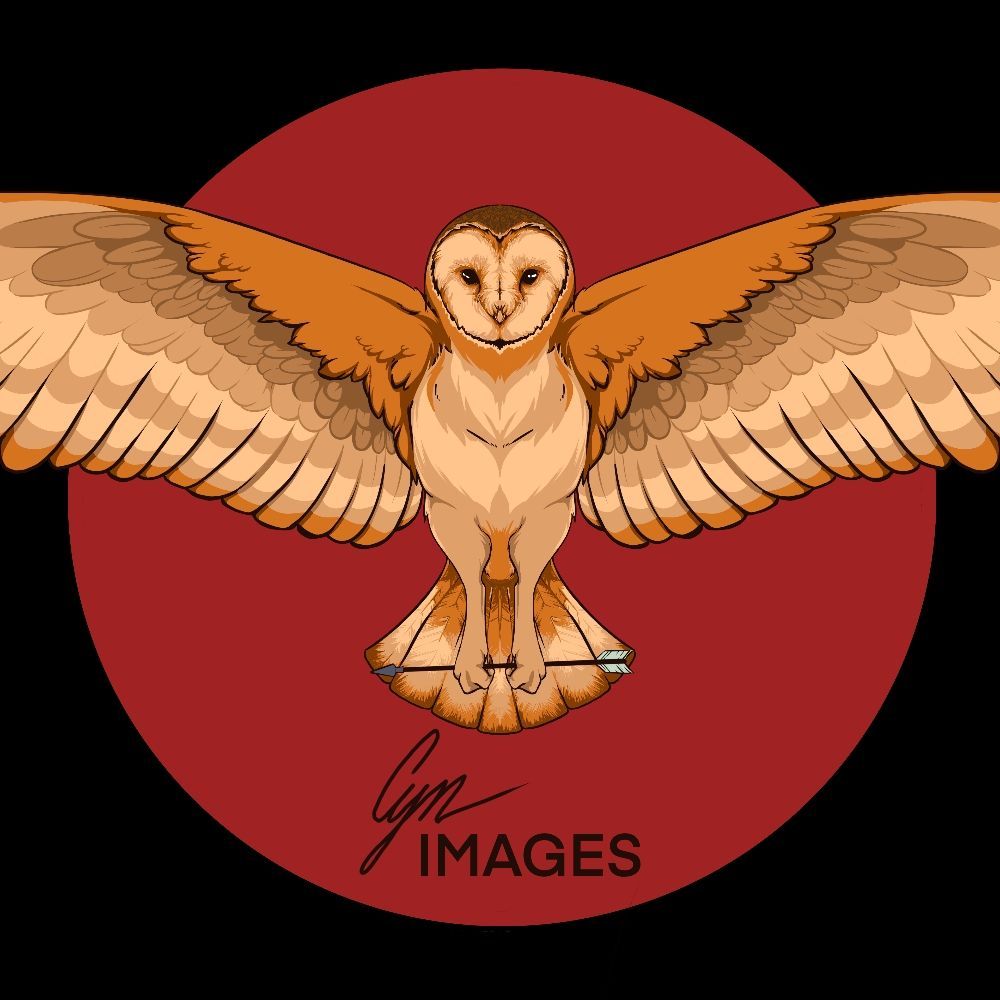 CynImages's profile picture